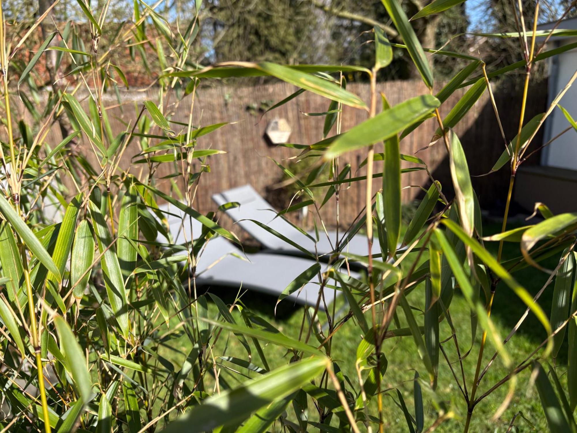 B&B Wellness Soest Bagian luar foto